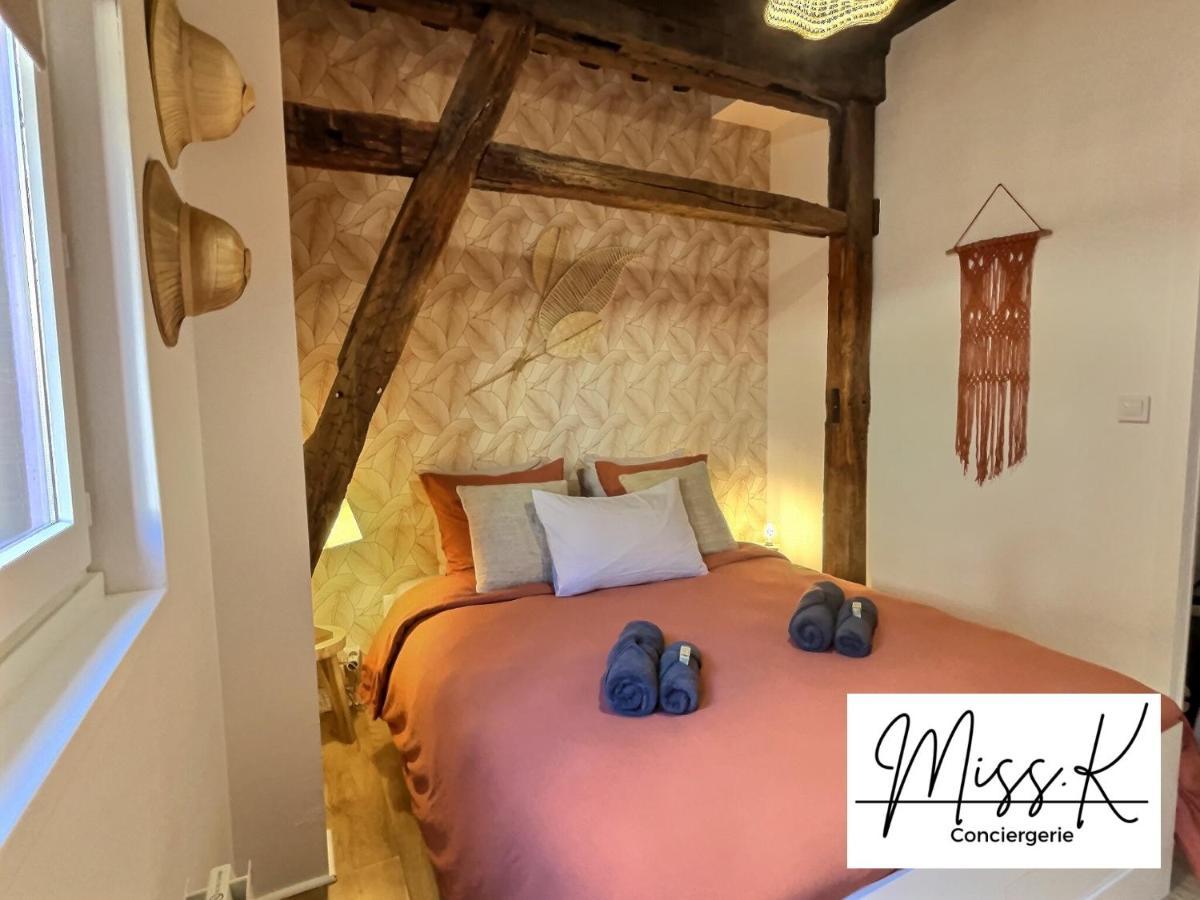 דירות Châtillon-sur-Chalaronne "La Fenetre Sur Le Marche" De Miss.K Conciergerie מראה חיצוני תמונה