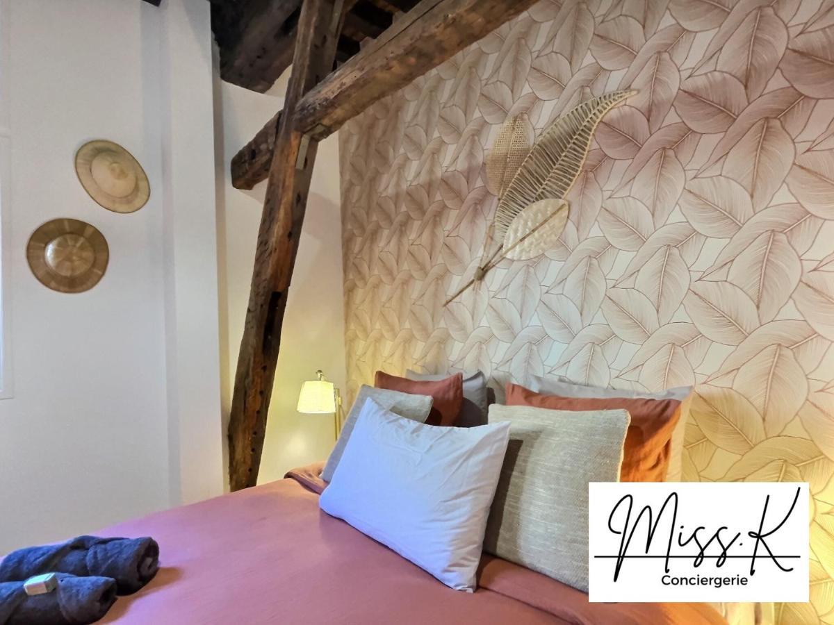 דירות Châtillon-sur-Chalaronne "La Fenetre Sur Le Marche" De Miss.K Conciergerie מראה חיצוני תמונה